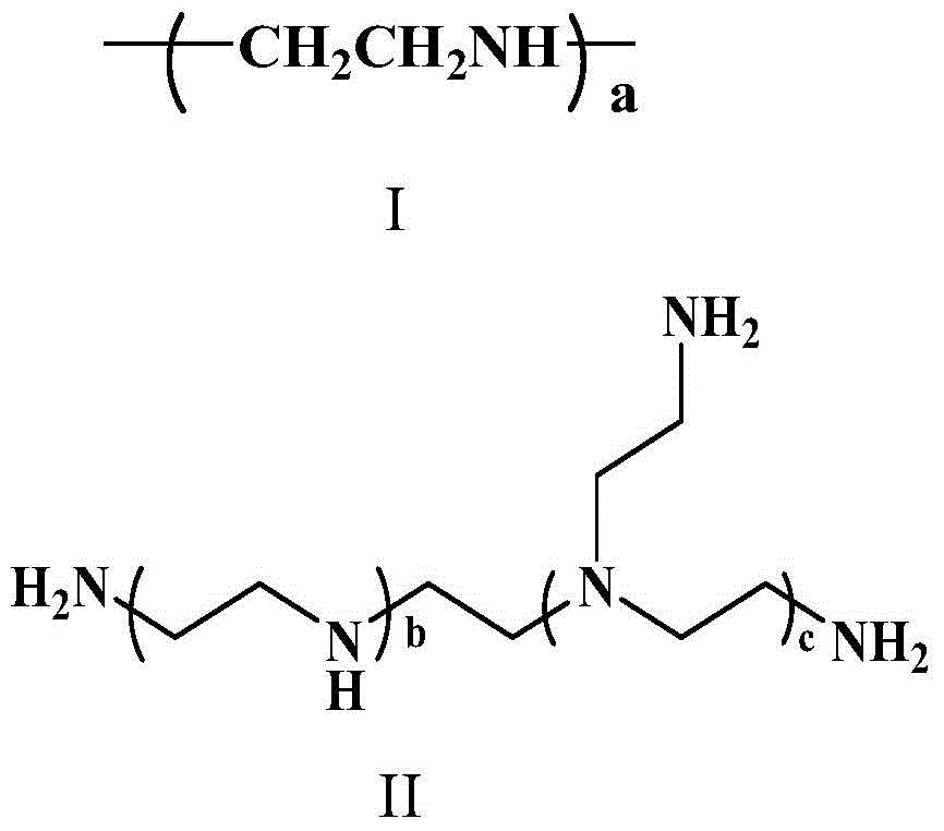 A kind of gene carrier system and its preparation method