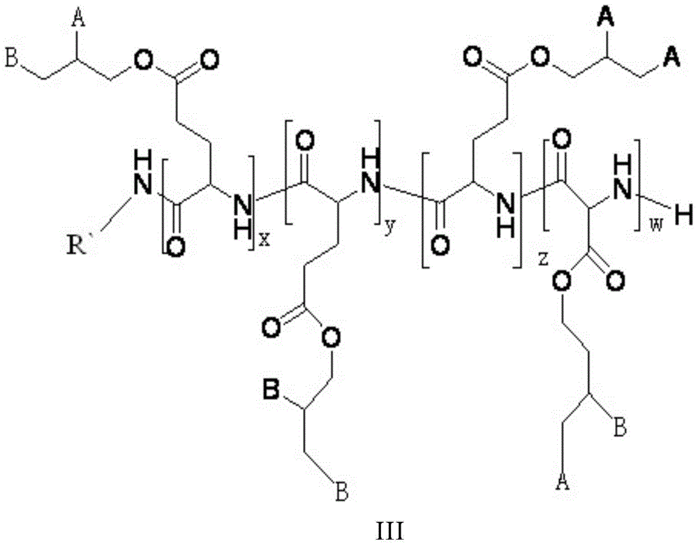 A kind of gene carrier system and its preparation method