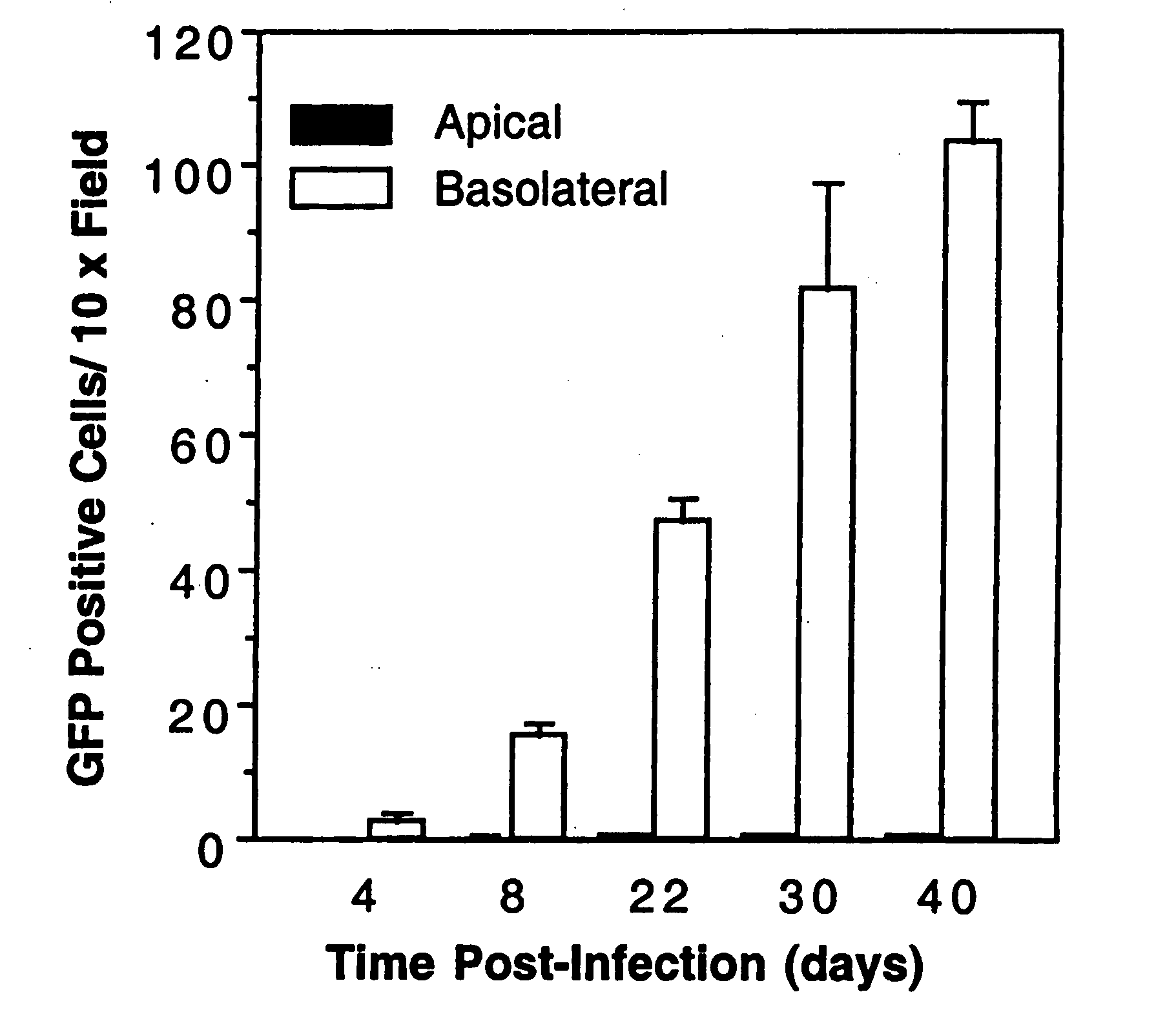 Compounds and methods to enhance rAAV transduction