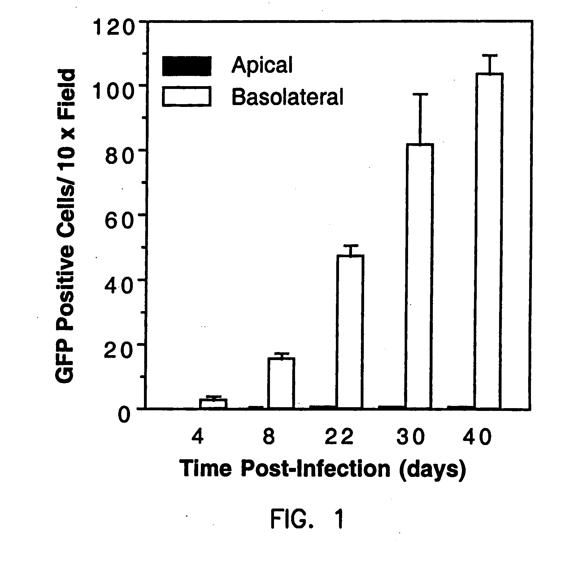 Compounds and methods to enhance rAAV transduction