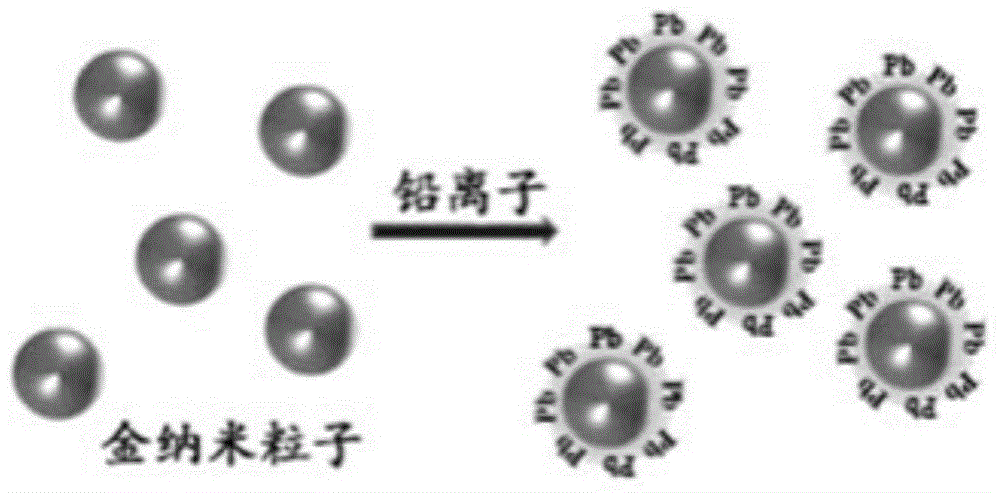 Gold nanometer probe, gold nanometer probe testing paper, preparation methods of gold nanometer probe and gold nanometer probe testing paper, and applications of gold nanometer probe and gold nanometer probe testing paper