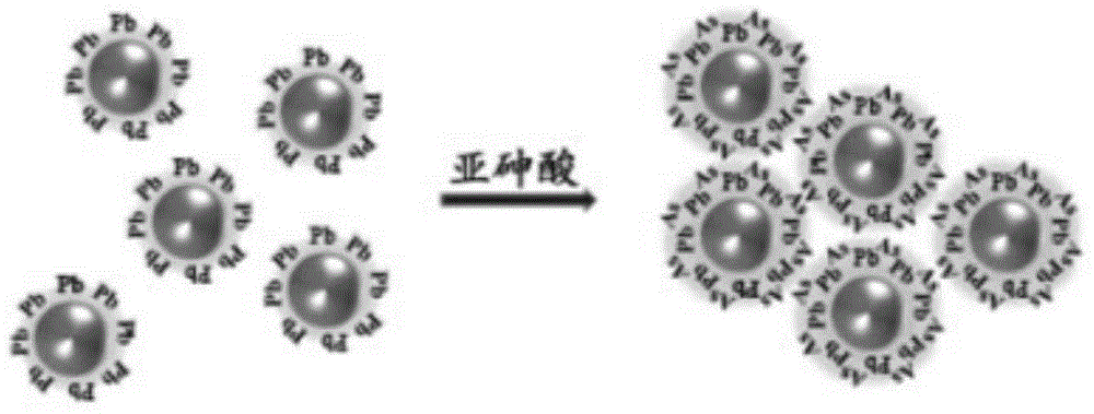 Gold nanometer probe, gold nanometer probe testing paper, preparation methods of gold nanometer probe and gold nanometer probe testing paper, and applications of gold nanometer probe and gold nanometer probe testing paper