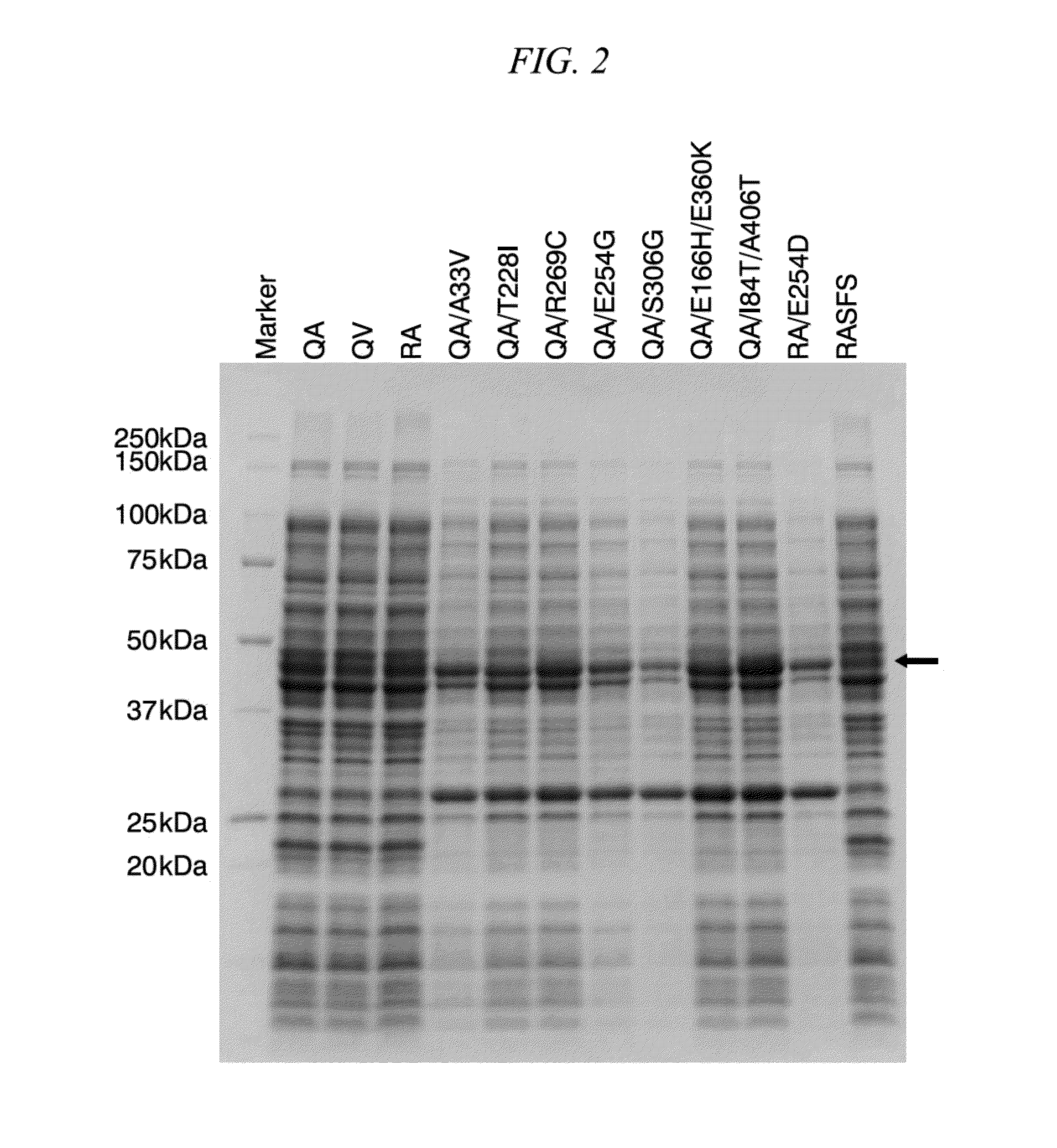 Method for obtaining natural variant of enzyme and super thermostable cellobiohydrolase