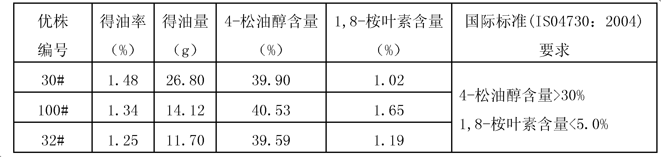 Selection method for fine individual plant of 4-terpilenol type cajeput