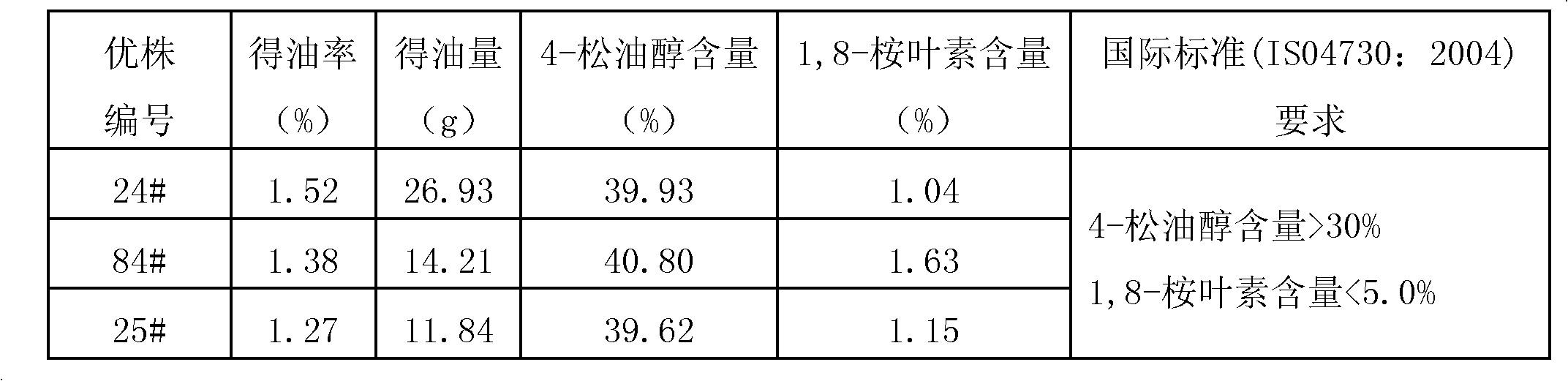 Selection method for fine individual plant of 4-terpilenol type cajeput