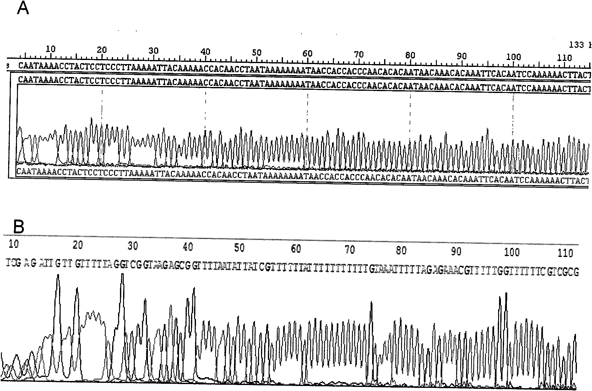 Quantitative detection method of HPP1 gene methylation