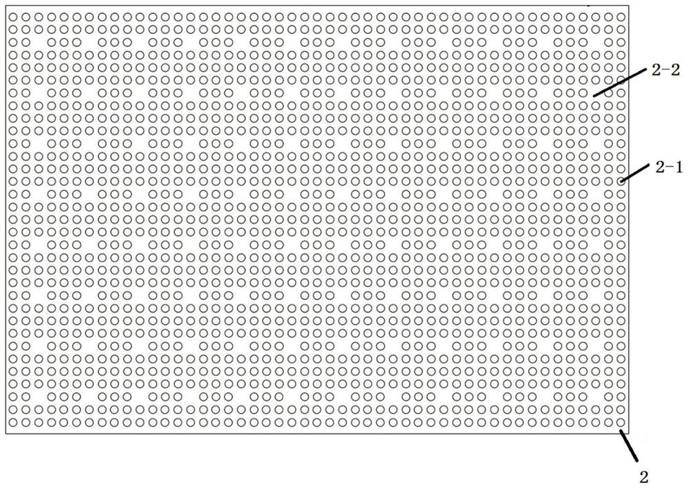 Ball bead supporting bridging sample anti-blocking drainage device for vacuum sealing drainage