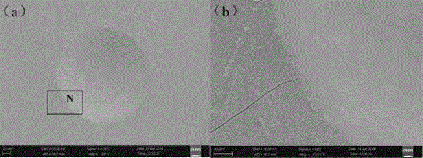 Ion nitrocarburizing compound layer phase adjustment and control method for SDC 99 steel