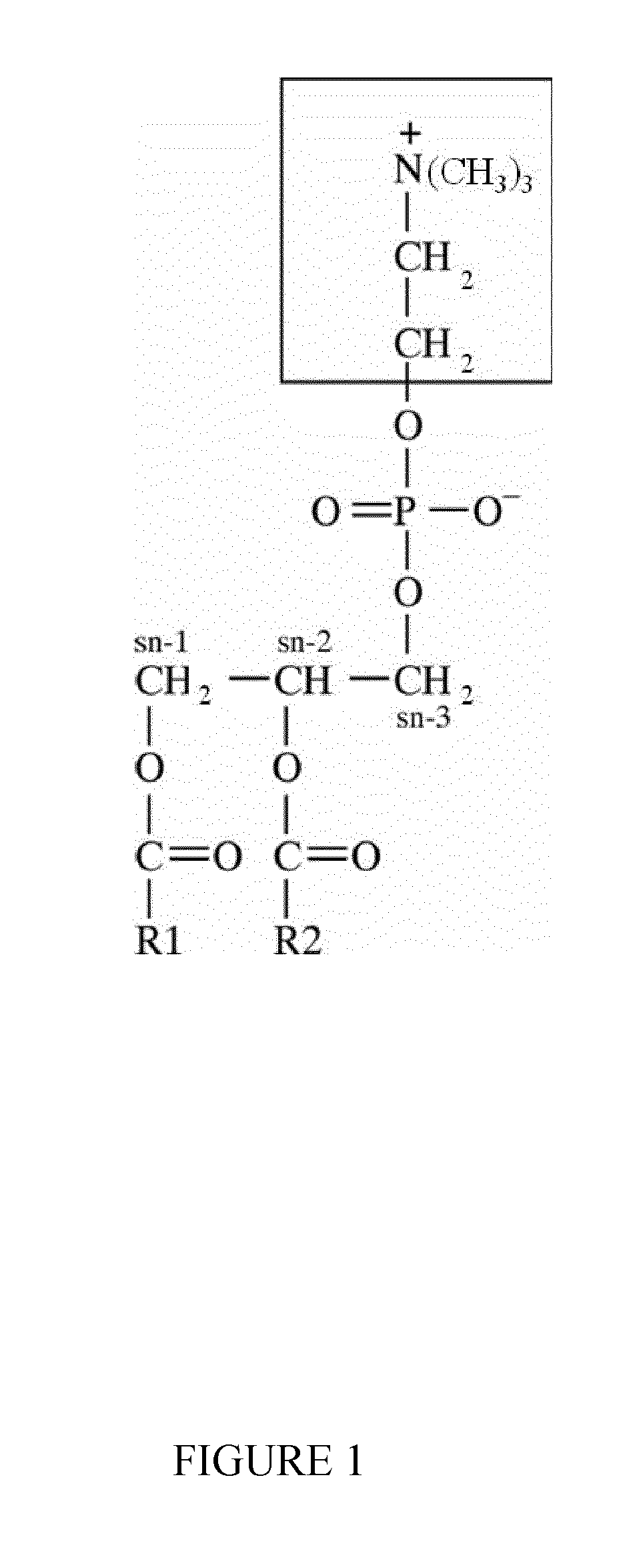 Nanoparticles delivery systems, preparation and uses thereof