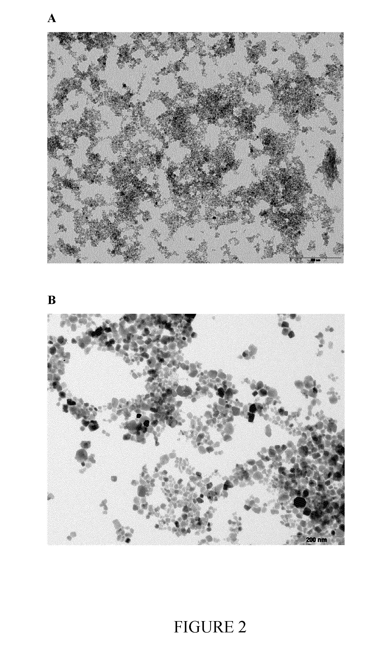 Nanoparticles delivery systems, preparation and uses thereof