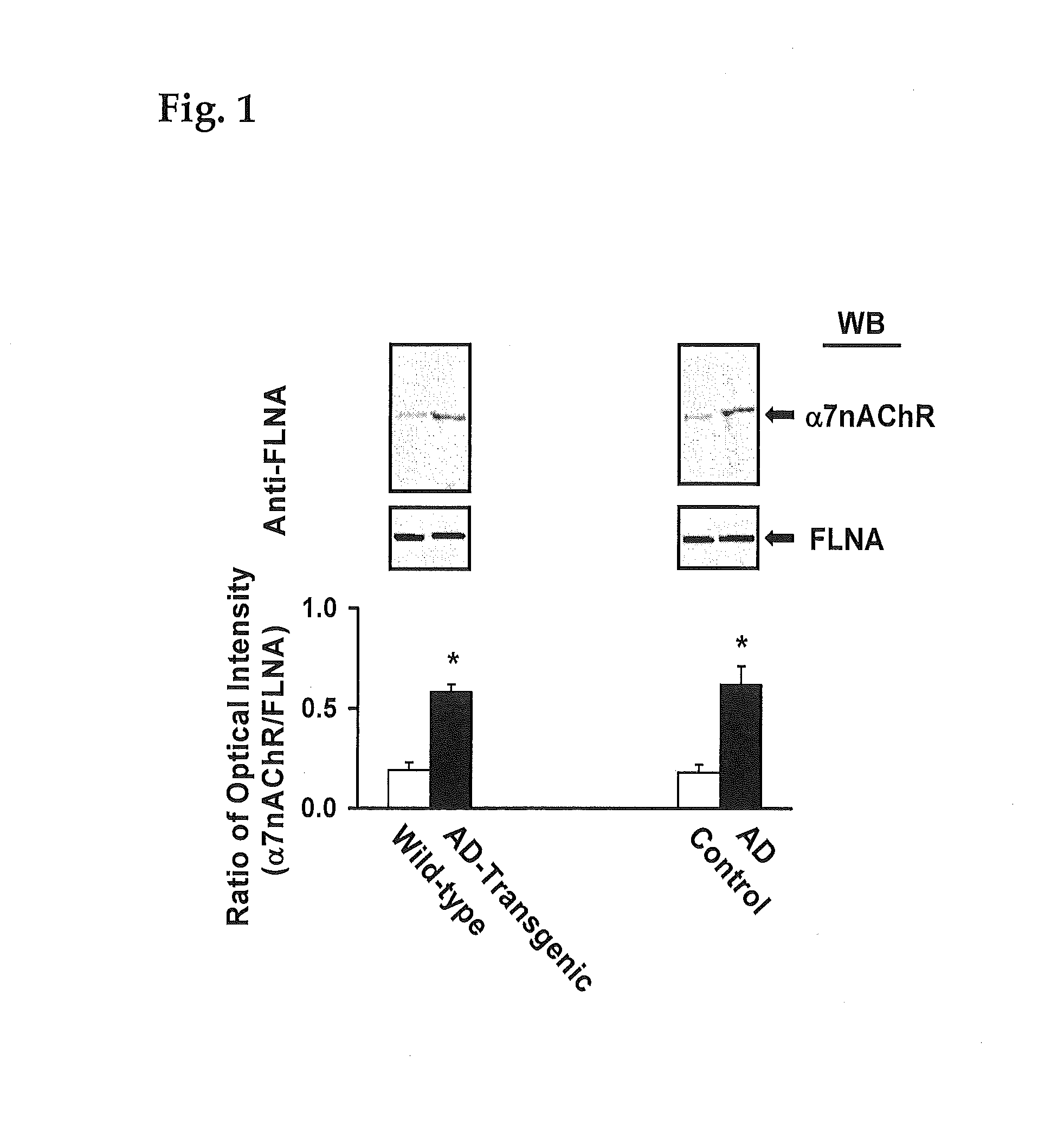 Method of inhibiting tau phosphorylation