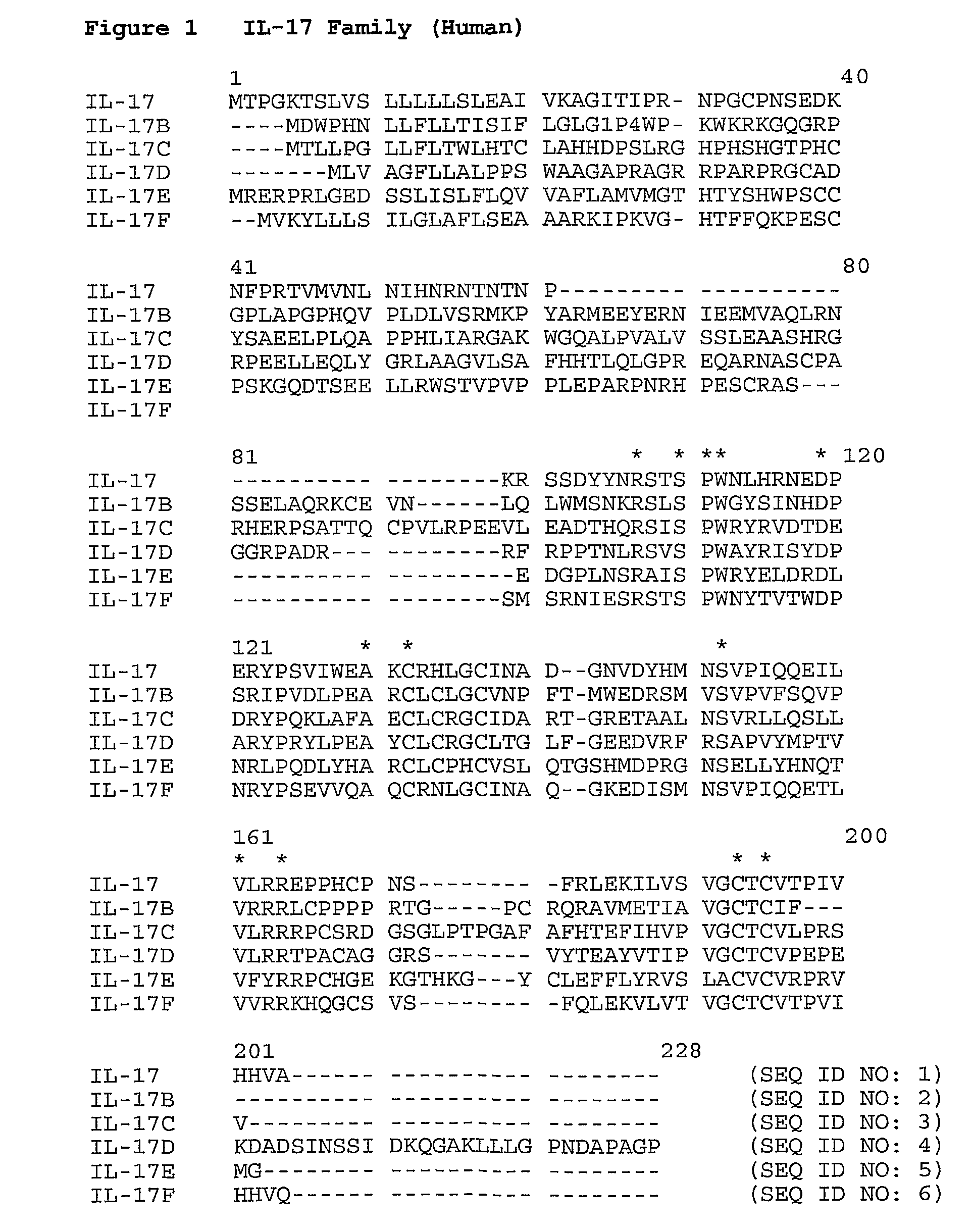 Anti-IL-17 antibodies