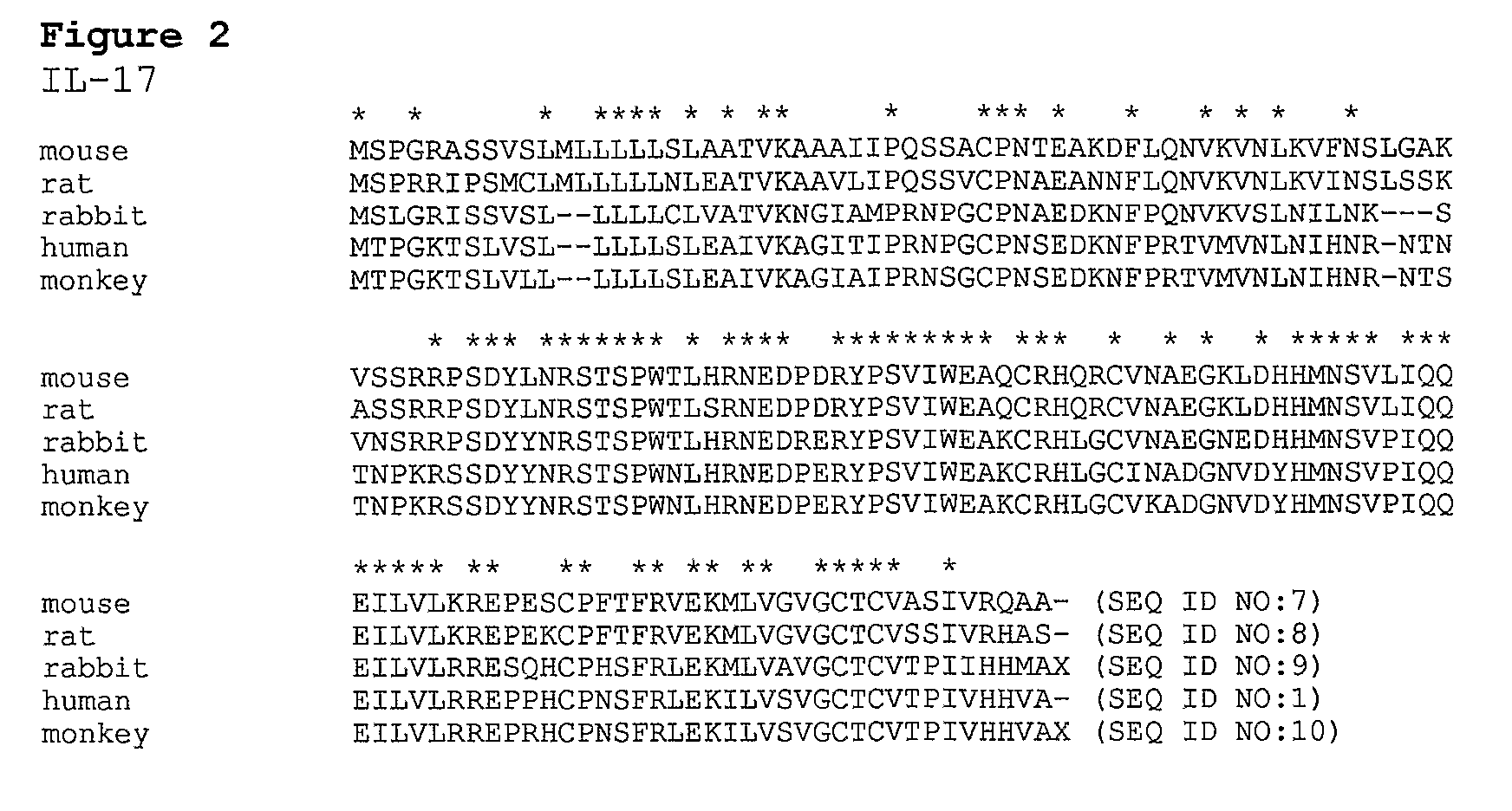 Anti-IL-17 antibodies