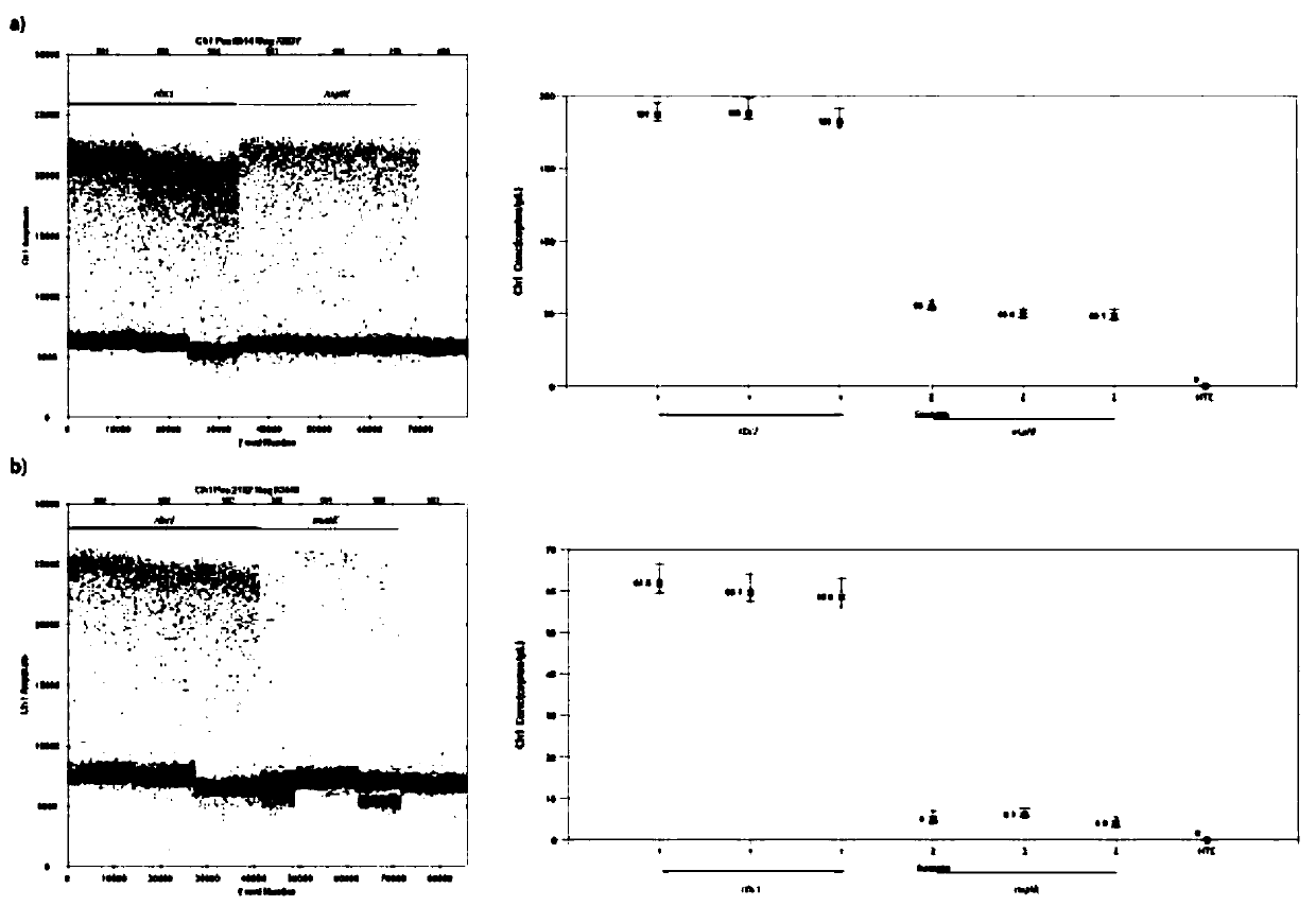 Method for extracting DNA from wood targeted cells