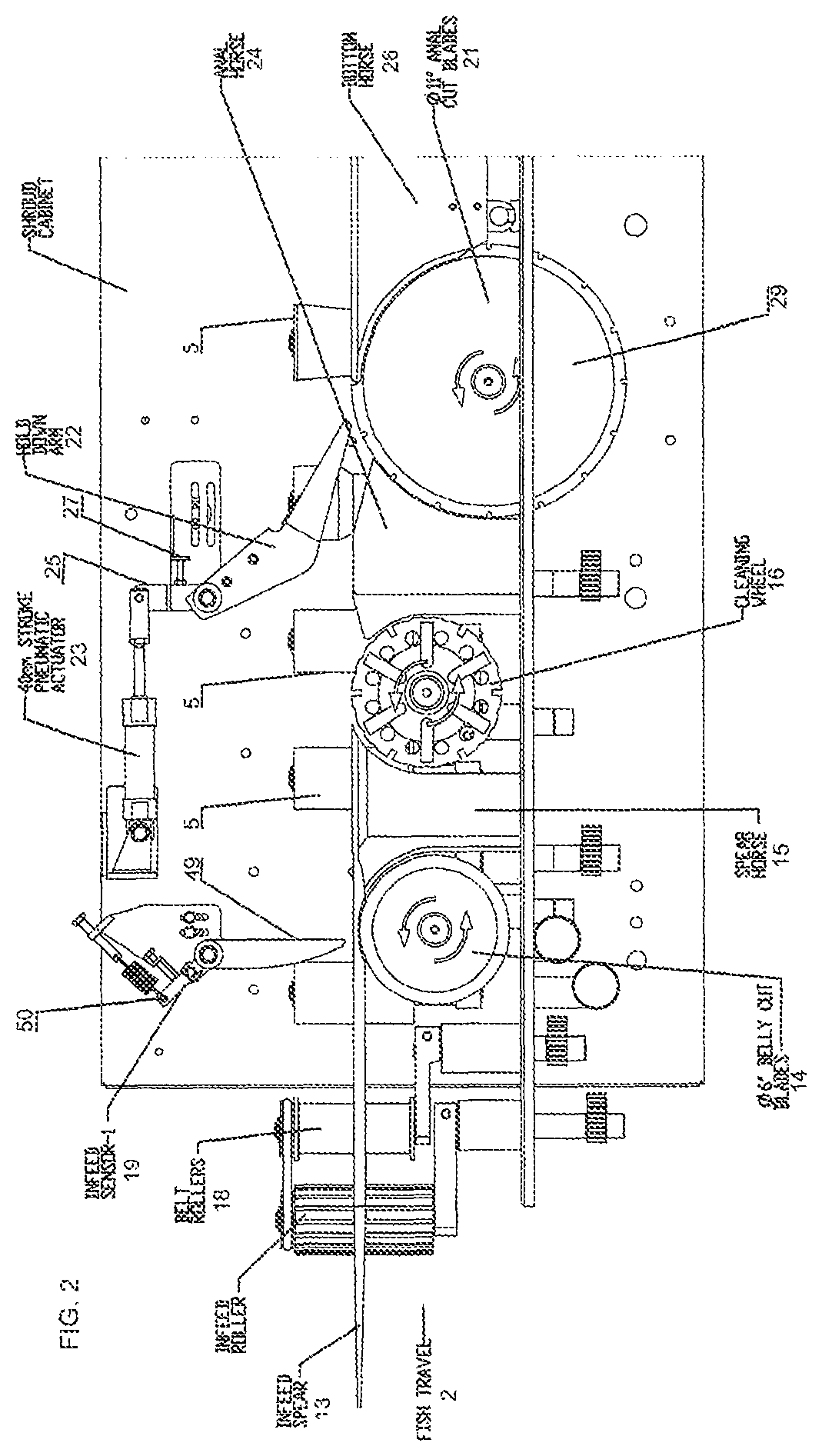 Fish filleting machine