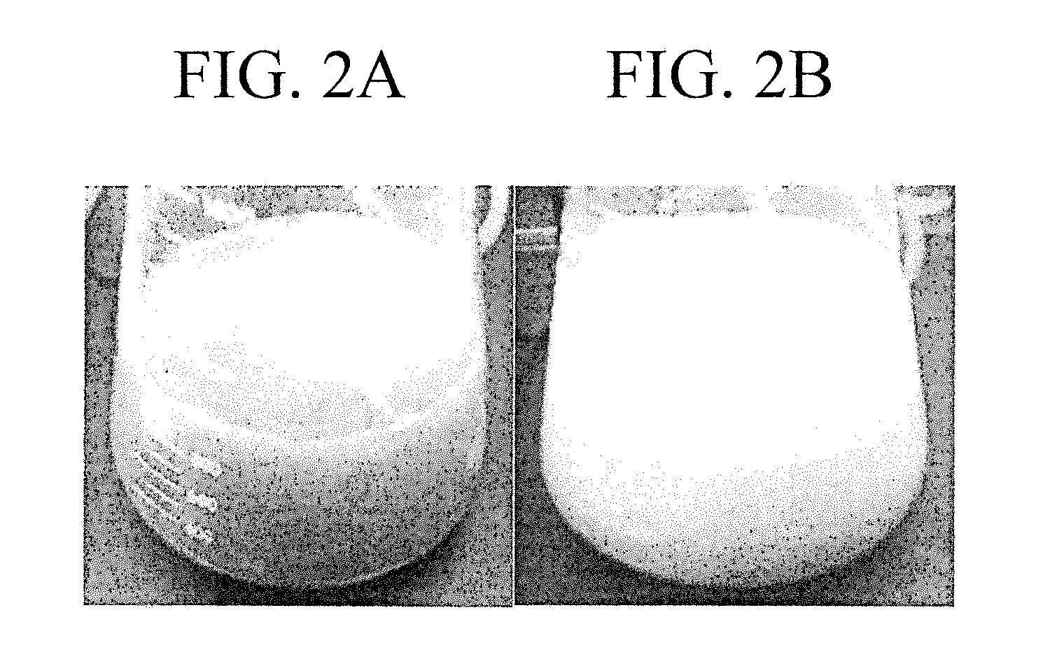 Disinfecting composition for removable dental appliances