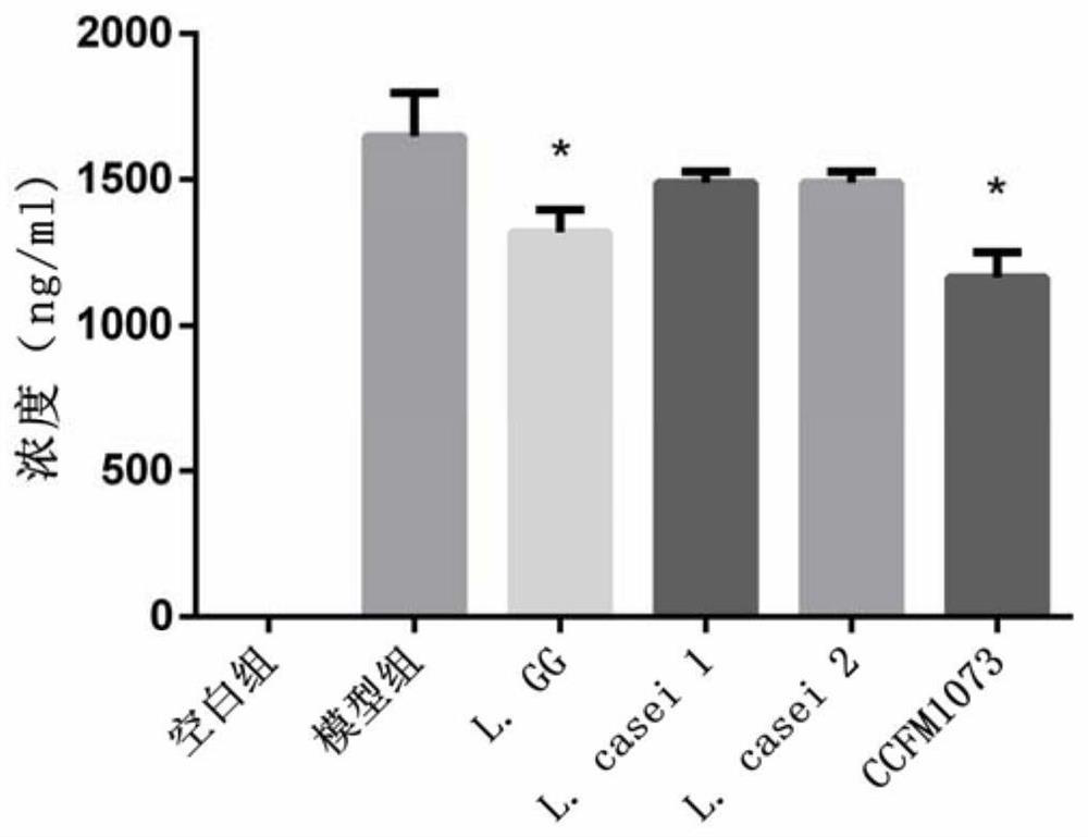 A Lactobacillus casei that can regulate the balance of th2/th1 in allergic asthma and its application