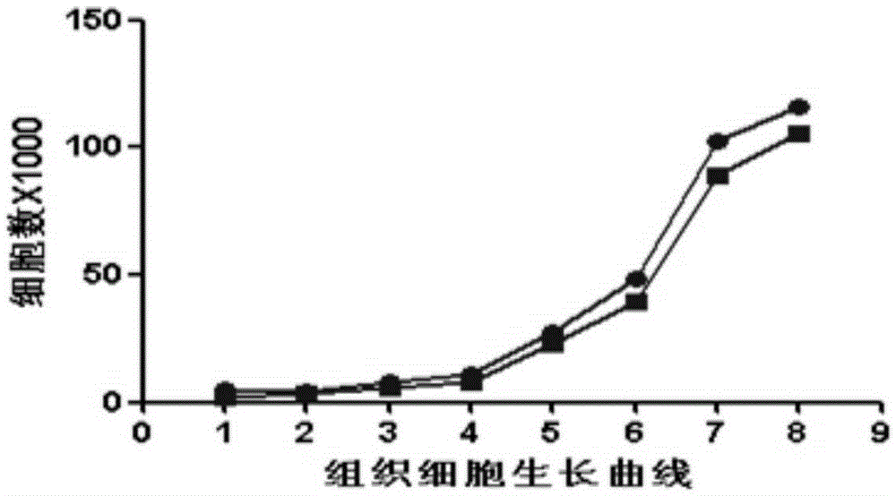 Umbilical cord tissue block cryopreservation method