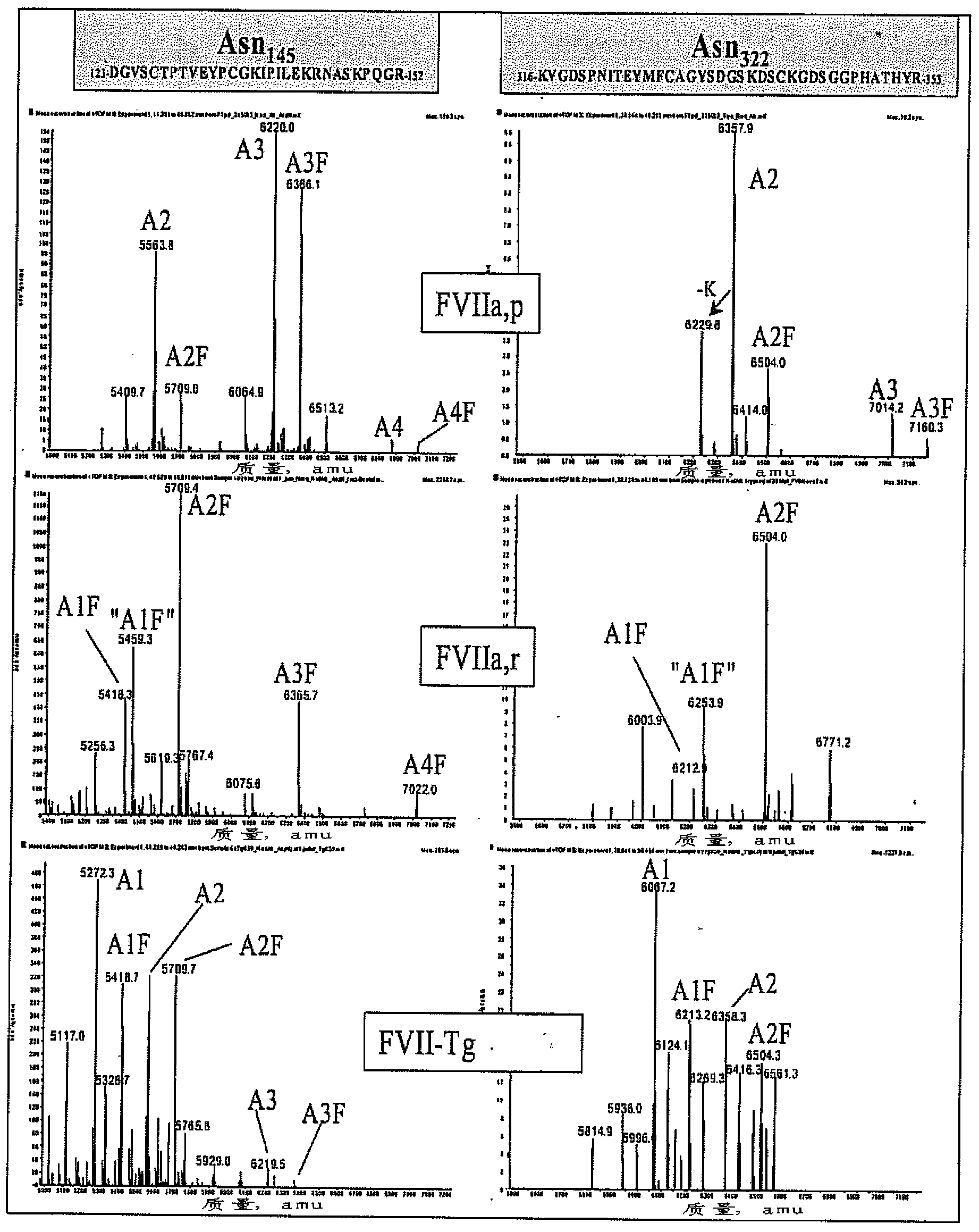 Recombinant or transgenic factor VII compound having a majority of glycan, biantennary, bisialylated and non-fucosylated forms