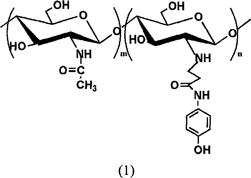 Method for preparing light sensitive type water soluble chitosan derivative