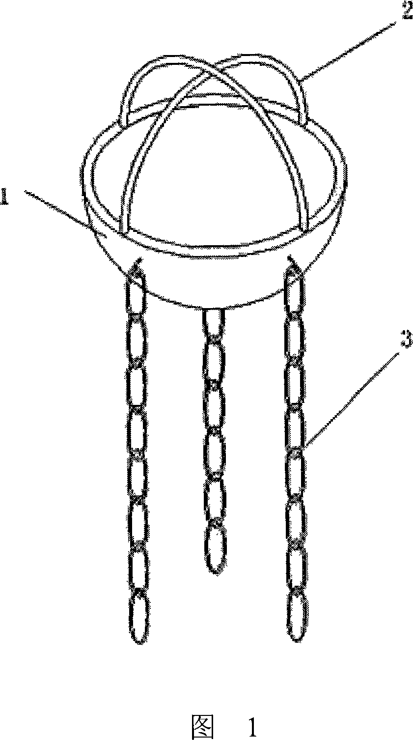 Antistress device for pig