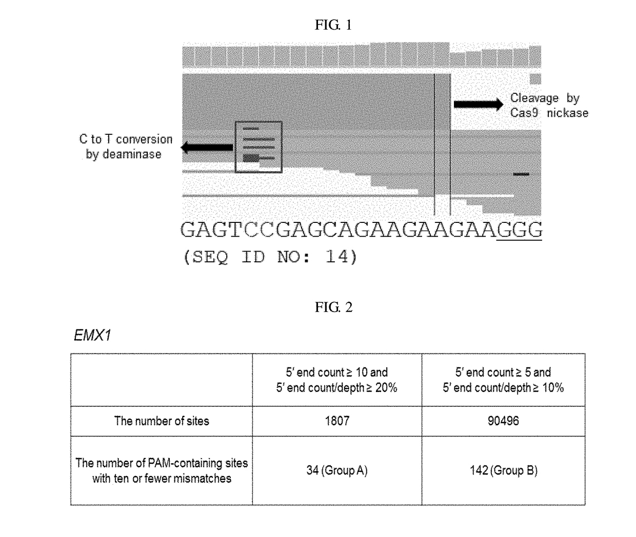 Method of identifying genome-wide off-target sites of base editors by detecting single strand breaks in genomic DNA