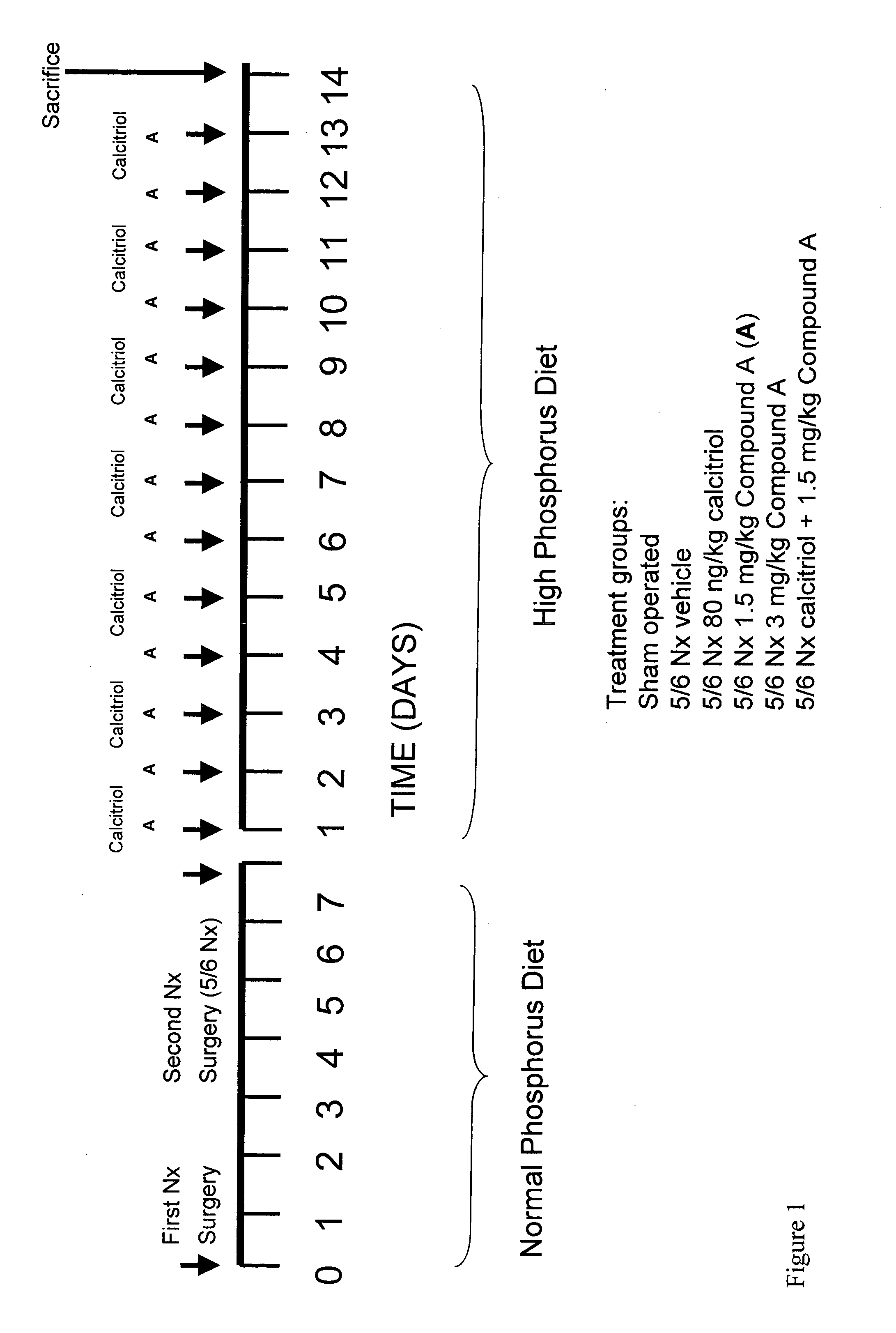 Methods of decreasing calcification