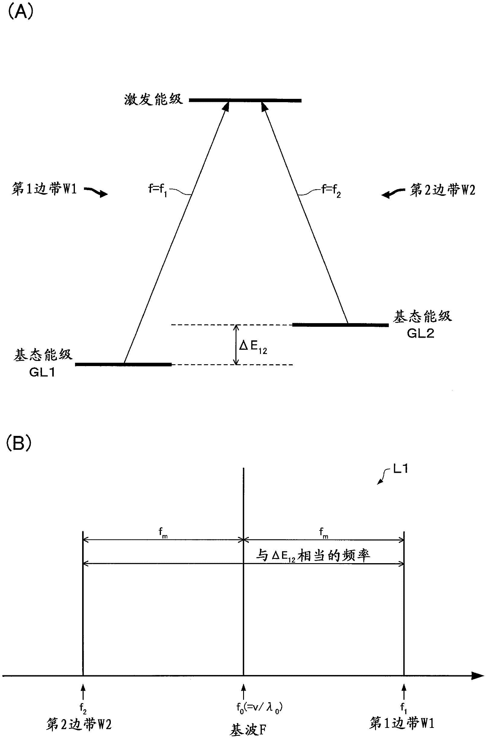 Optical module for atomic oscillator and atomic oscillator