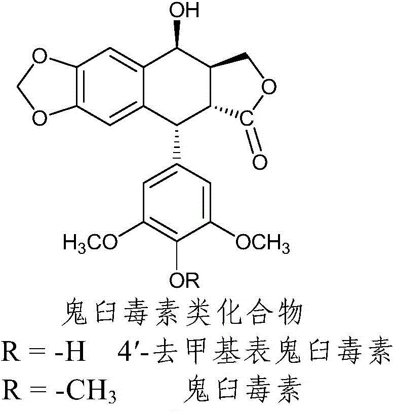 Nitrogen-substituted podophyllotoxin derivative with anti-tumor activity and preparation method and use thereof