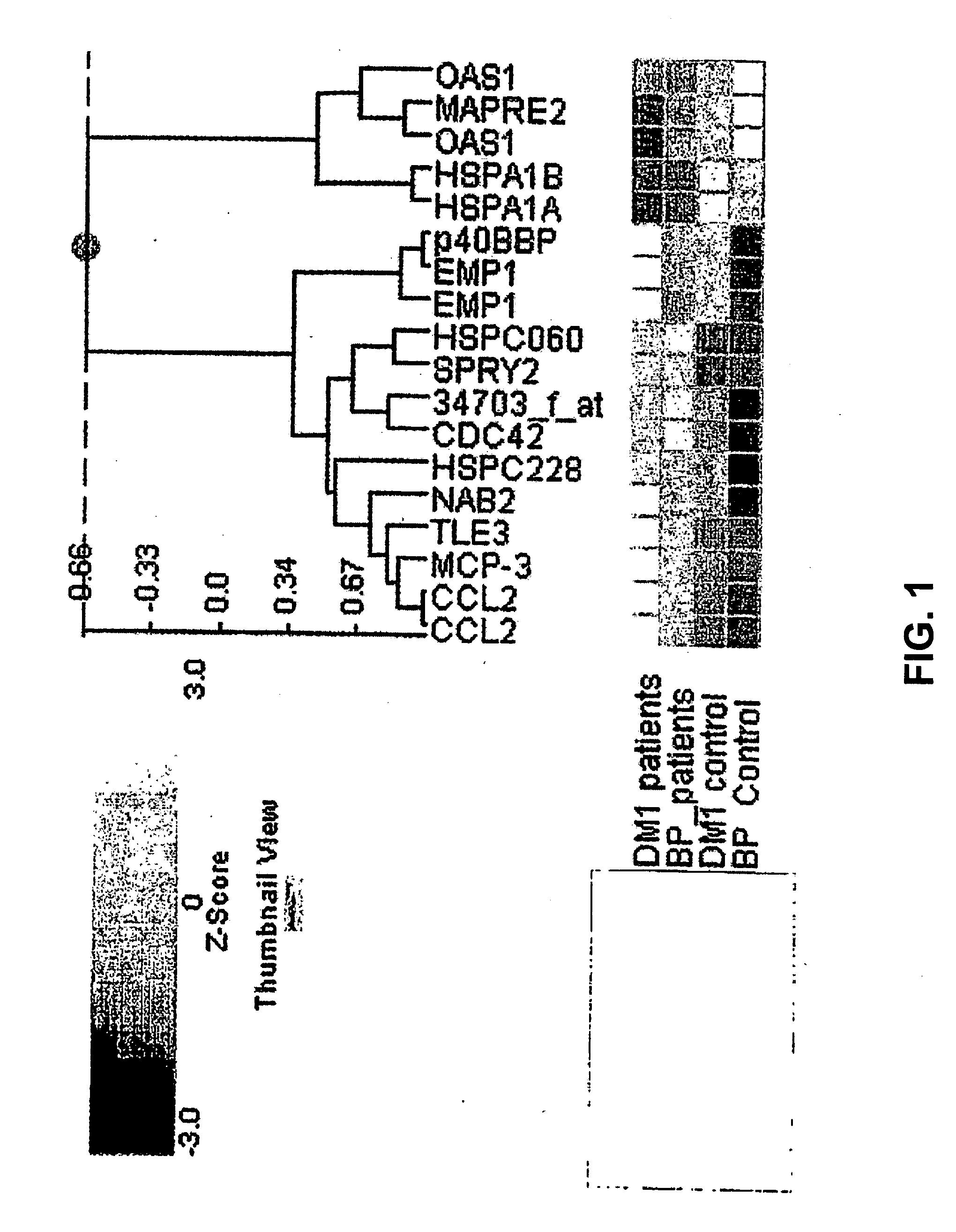 Method to diagnose or screen for inflammatory diseases