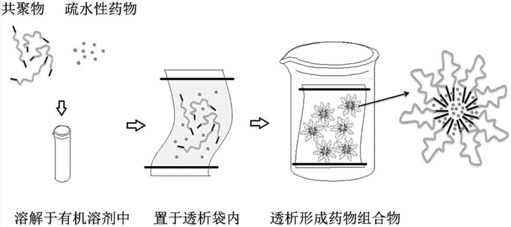 A thermosensitive self-assembled tri-block copolymer and pharmaceutical composition as well as its preparation method and application