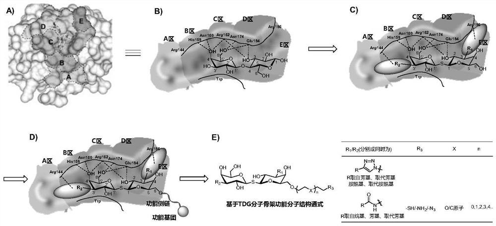 A kind of functional carbohydrate molecule based on tdg molecular skeleton and preparation method thereof