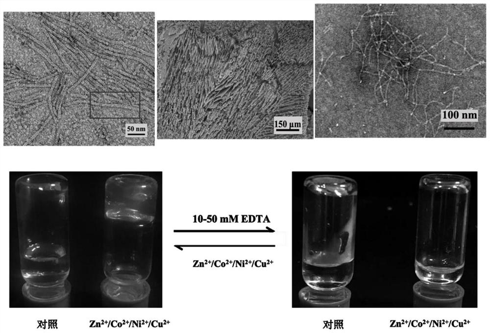 Method for constructing non-denatured protein hydrogel through molecular self-assembly technology