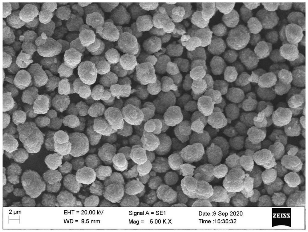 High-nickel ternary positive electrode material and preparation method thereof