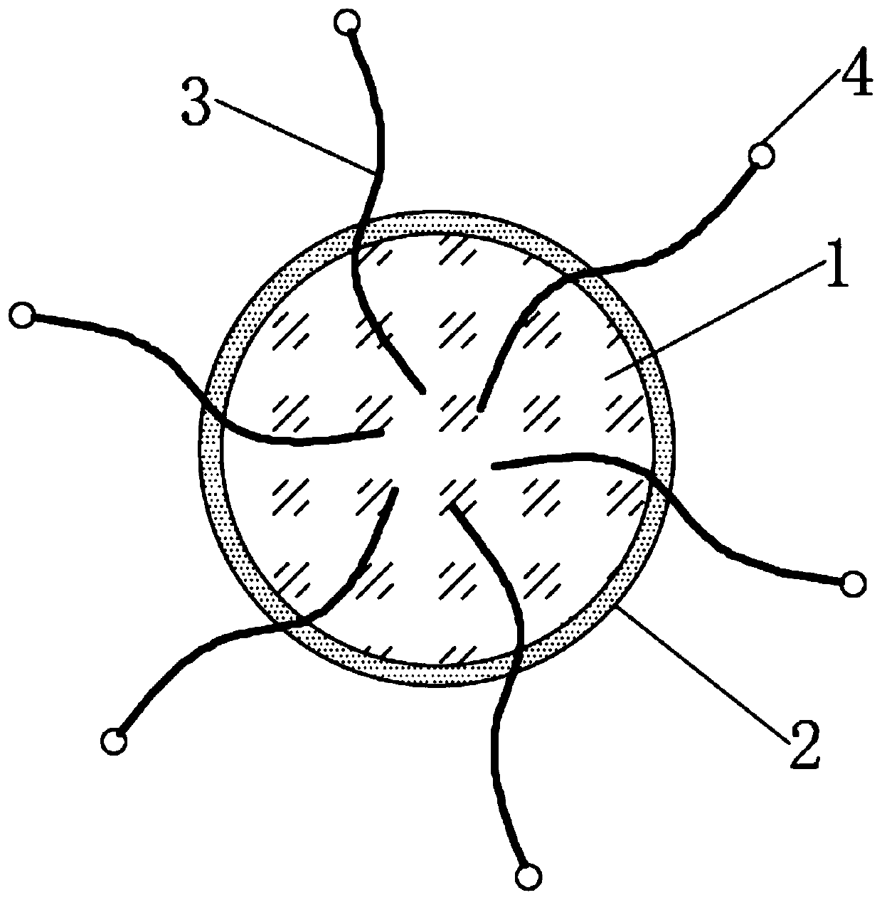 Water pill for treating vertigo and preparation method thereof