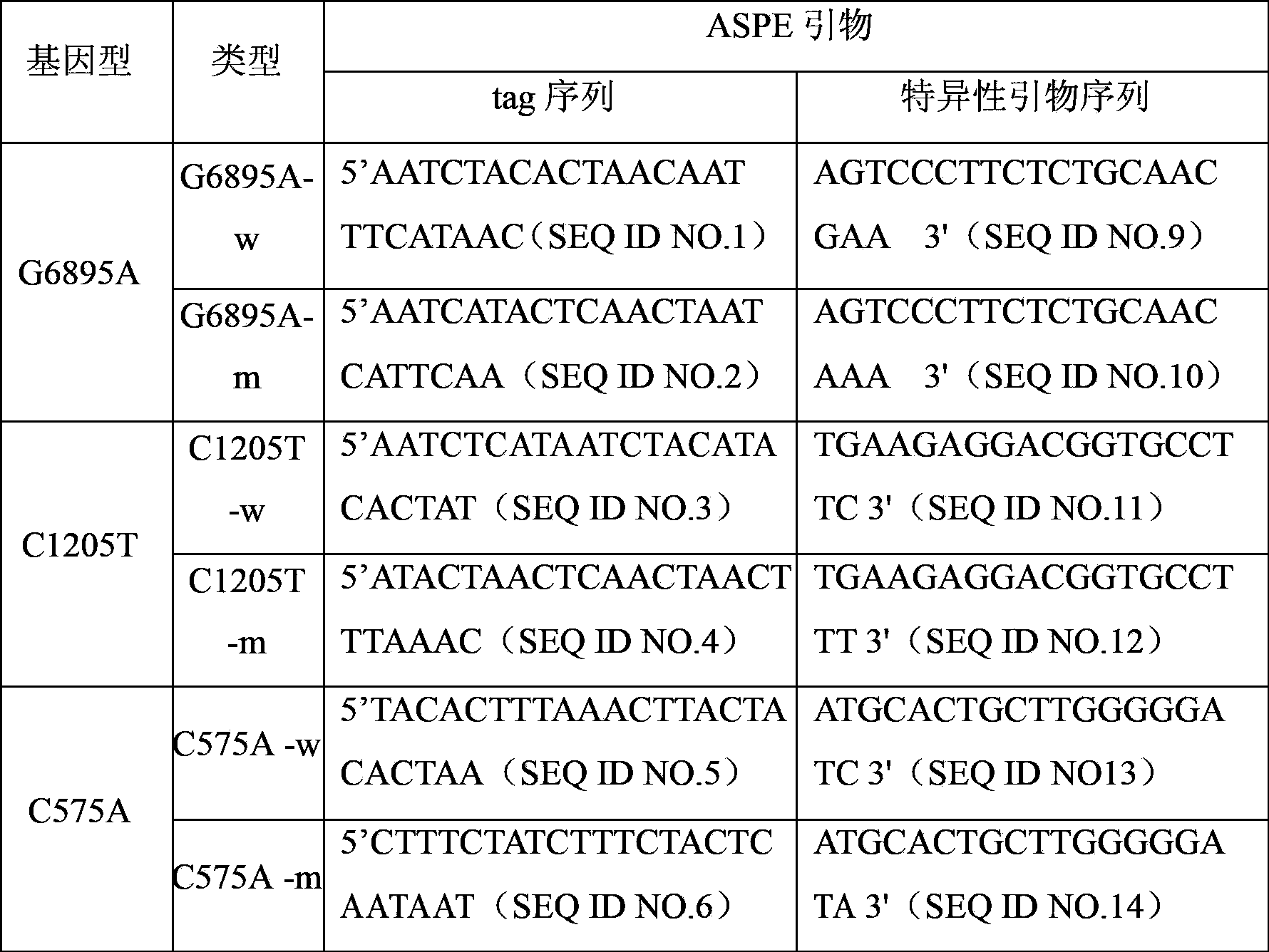 Specific primer and liquid phase chip for detecting TYR gene mutation