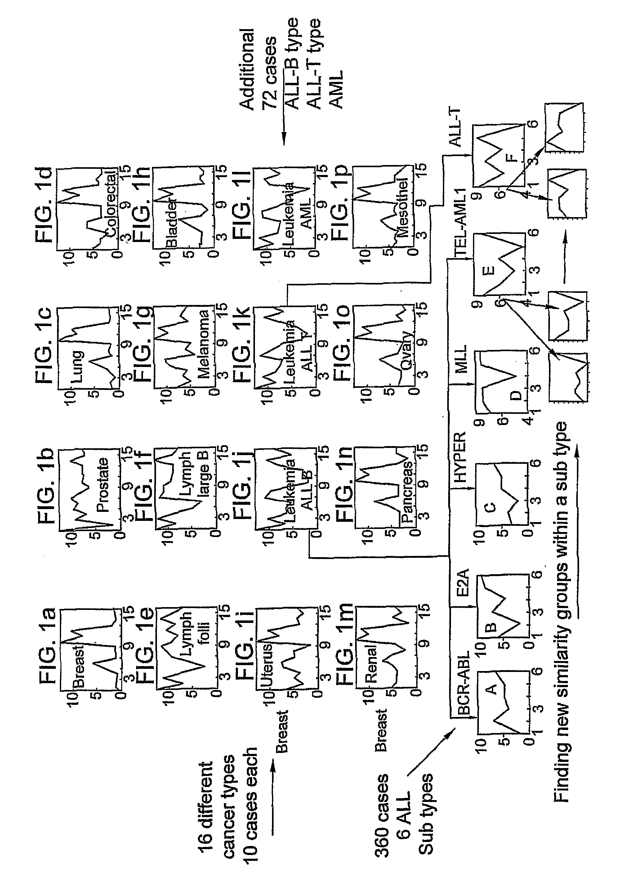 System And Method For Classifying A Body Tissue Sample