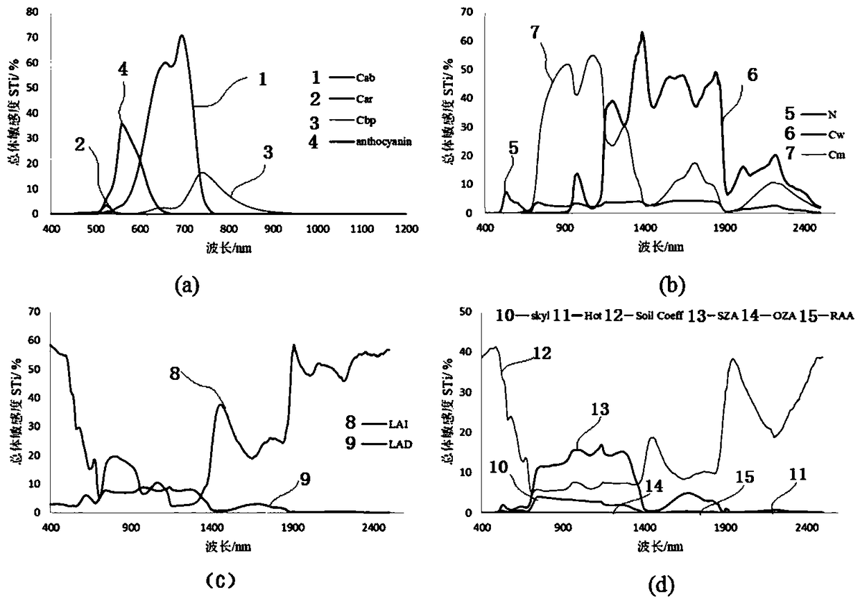 Corn canopy LAI and chlorophyll content joint inversion method and corn canopy LAI and chlorophyll content joint inversion equipment