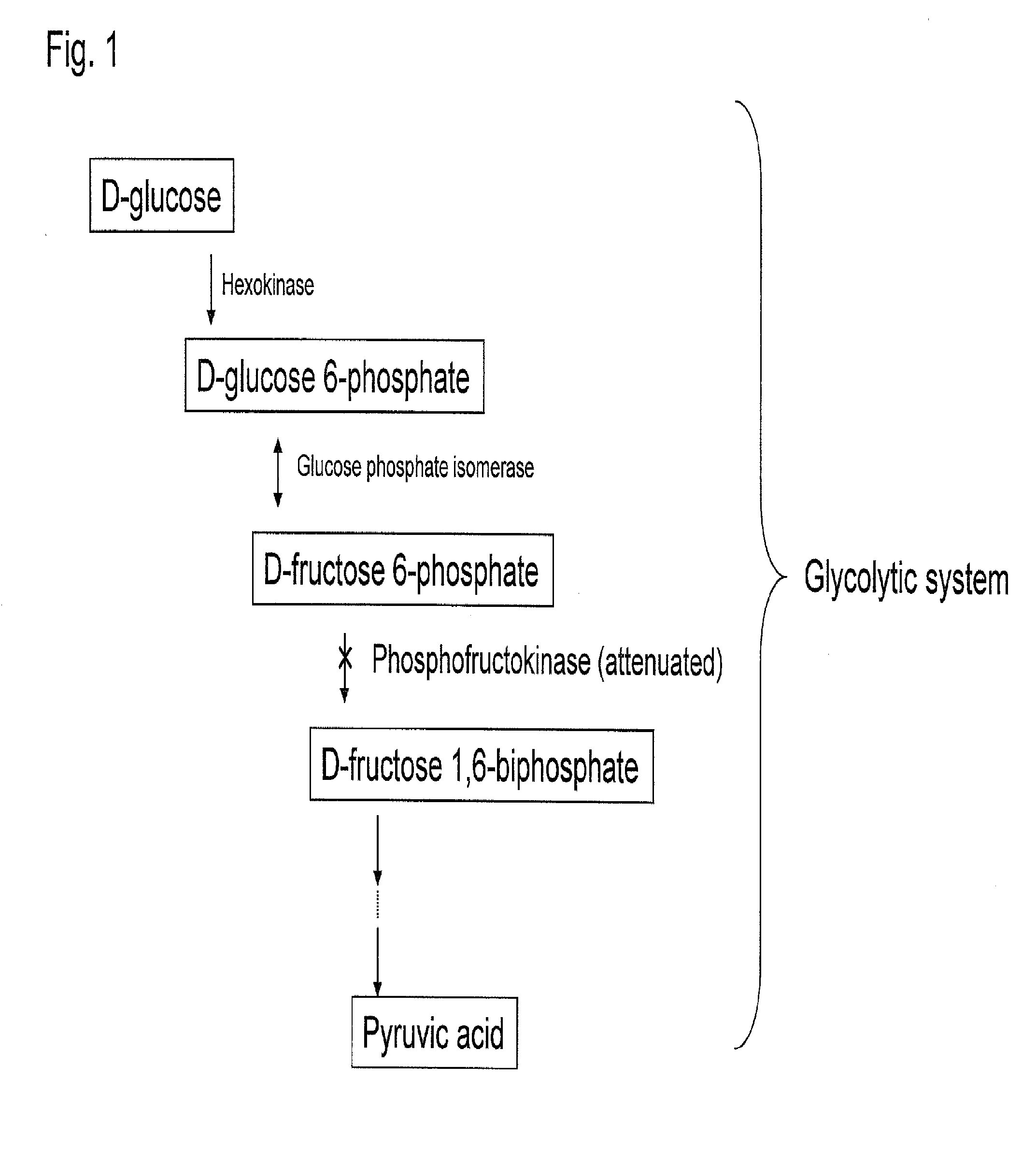 Recombinant yeast and substance production method using the same