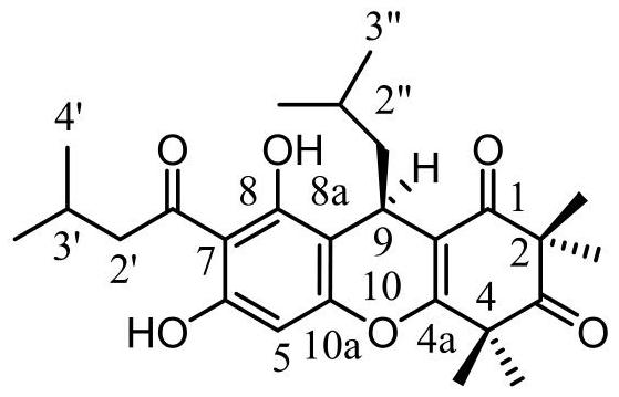 Rapid preparation and application of phloroglucinol derivatives inrhodomyrtus tomentosa fruit