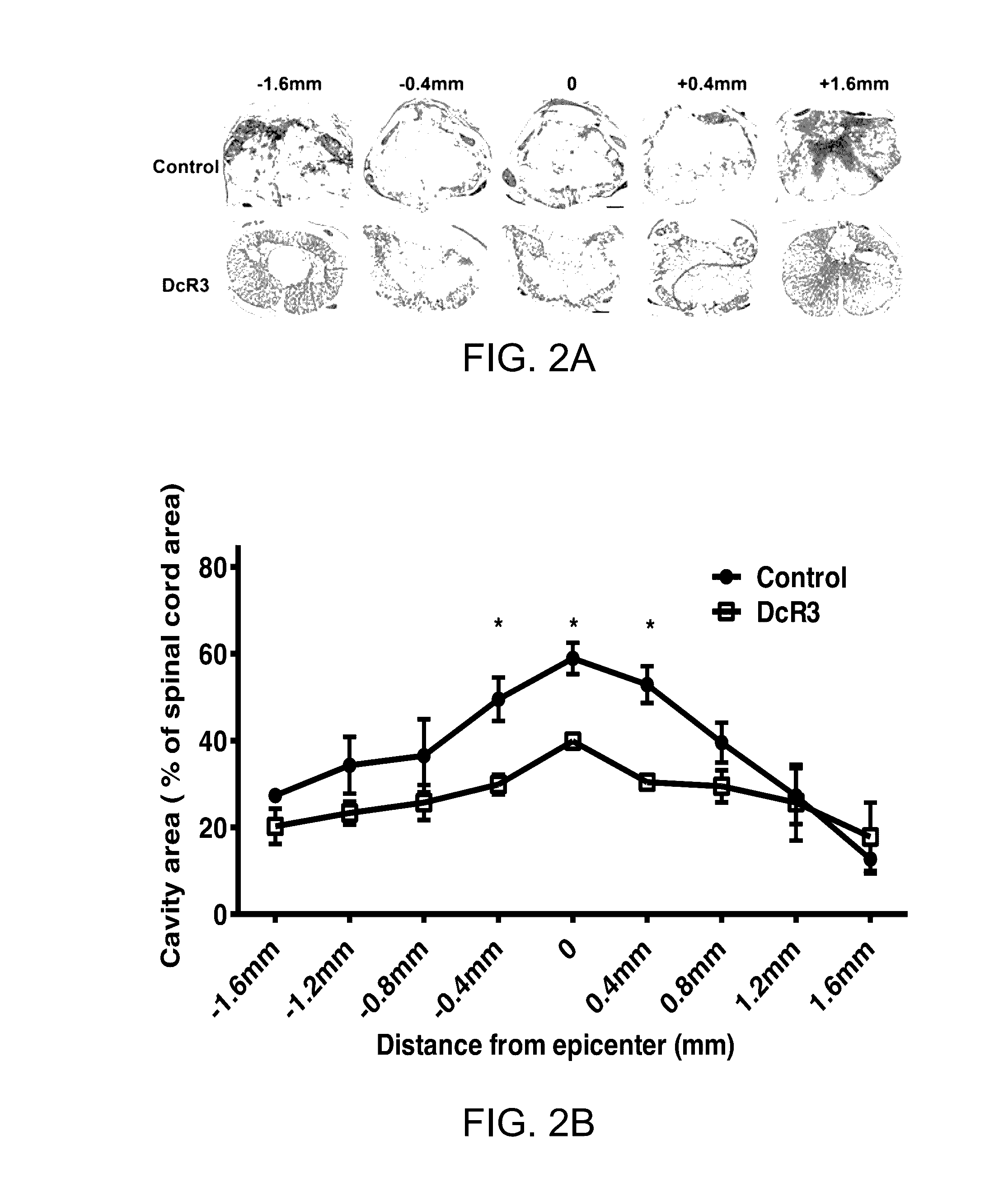 Recombinant decoy receptor 3 for treating spinal cord injury