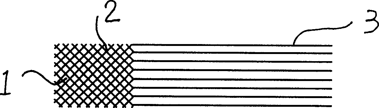 A net special for battery electrode and method for making same and dedicated device