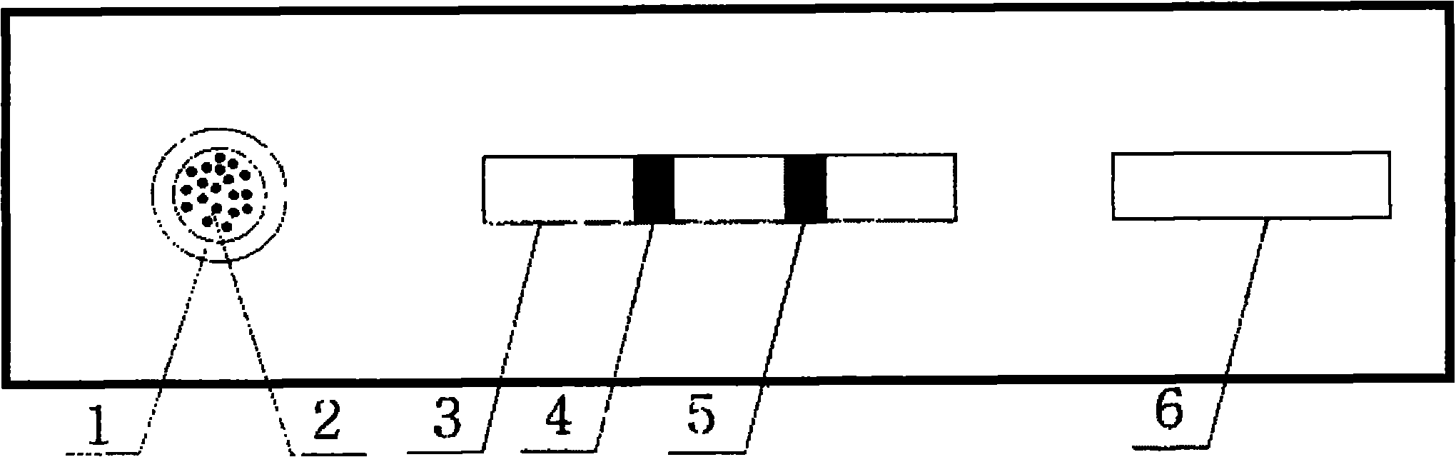 Wound vibrio quantitative detecting test strip