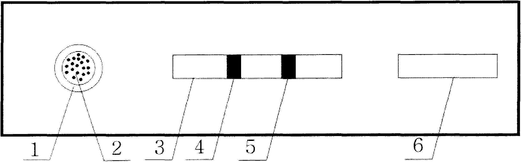 Wound vibrio quantitative detecting test strip