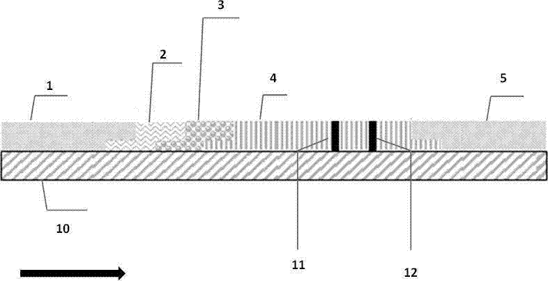 Signal-enhancement type immunochromatographic gold-labeled test strip and preparation method thereof