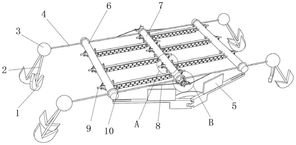 Sargassum fusiforme mariculture device and process thereof