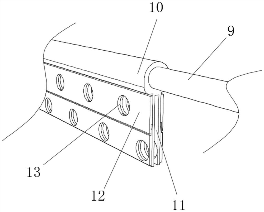 Sargassum fusiforme mariculture device and process thereof