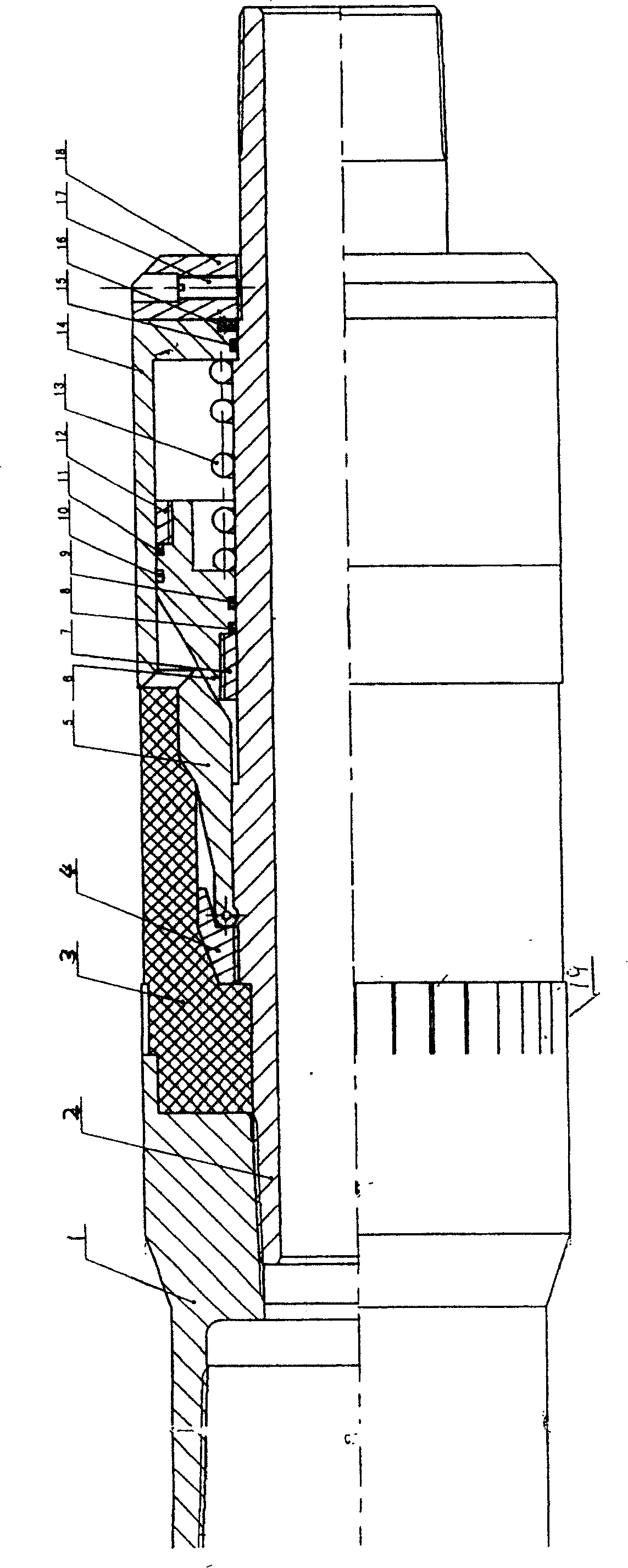 Compressed high-temperature packer with gas propelling