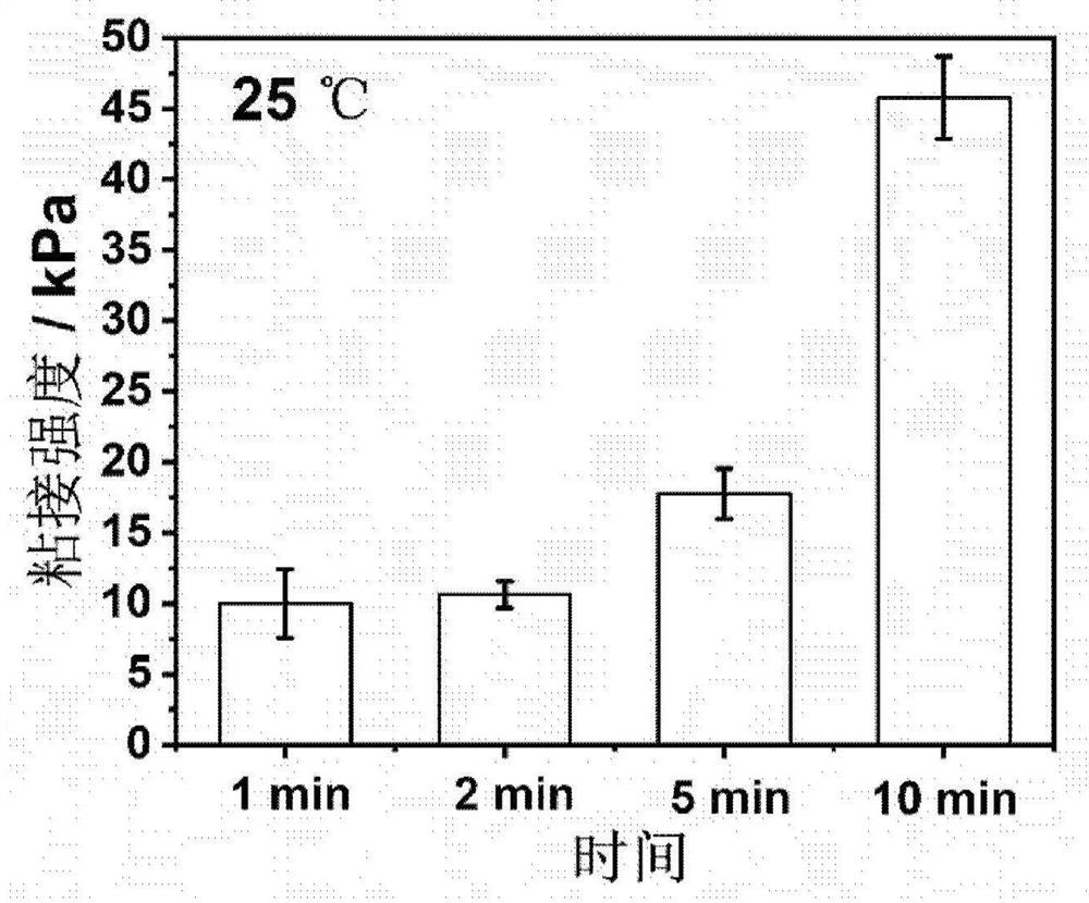 Gelatin-based low-temperature injection anti-inflammatory and antibacterial viscous hydrogel, preparation method and application thereof