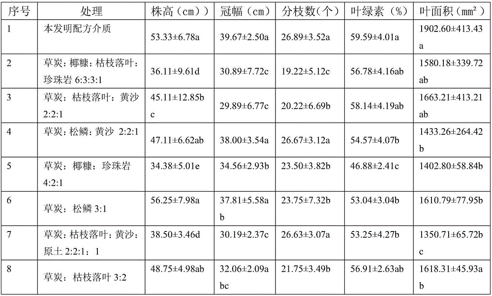 Cultivation medium special for rhododendron container seedlings and cultivation method thereof